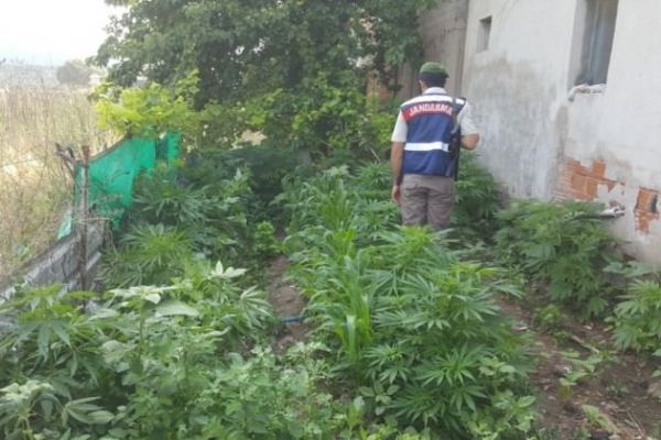 İzmir’de uyuşturucu operasyonu: 5 kişi gözaltında