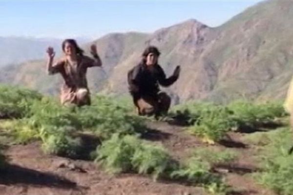 Teslim olan teröristler her şeyi anlattılar