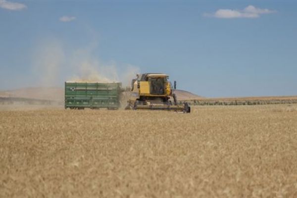 Tarım- ÜFE Mayıs ayında yükseldi