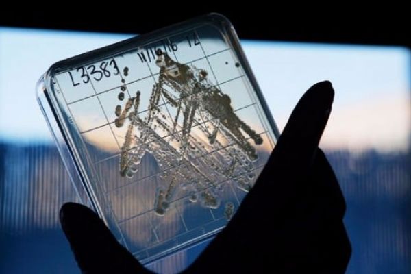 Bu işte gelecek var dedi, 300 milyon dolar yatırdı