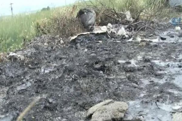 Başkent'te vahşet: Kedi ve köpekleri yaktılar!