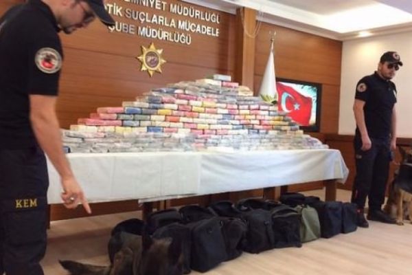 Ege Denizi'nde yakalandı masaya sığmadı! Değeri tam 80 milyon lira