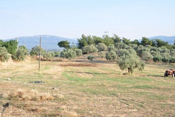 Muğla'da traktör devrildi: 1 ölü