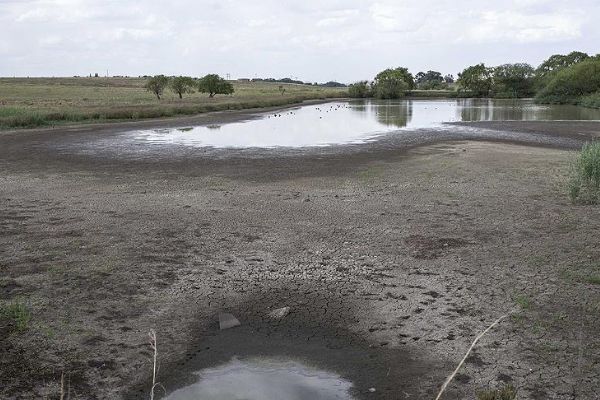Türkiye Afrika'daki kuraklığa kalıcı çözüm arıyor