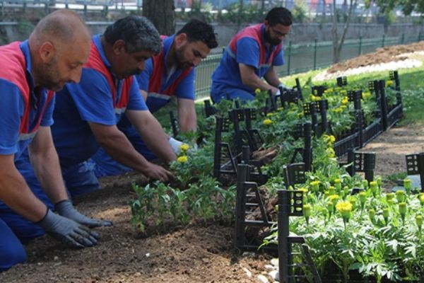 Kağıthane çiçek açtı