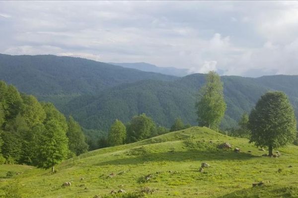 Düzce'ye 'Bal Köyü' kuruluyor