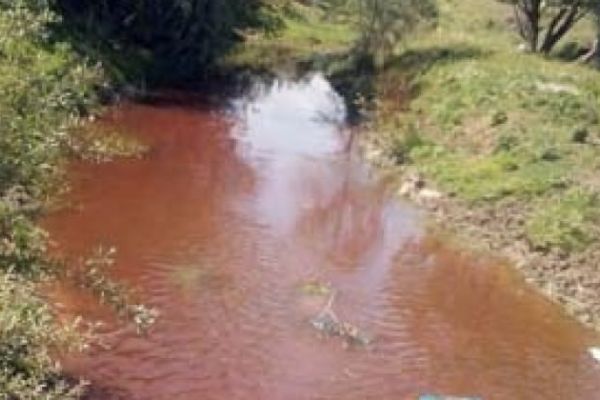 Konya'da dereden kanlı su aktığını görenler şoke oldu!