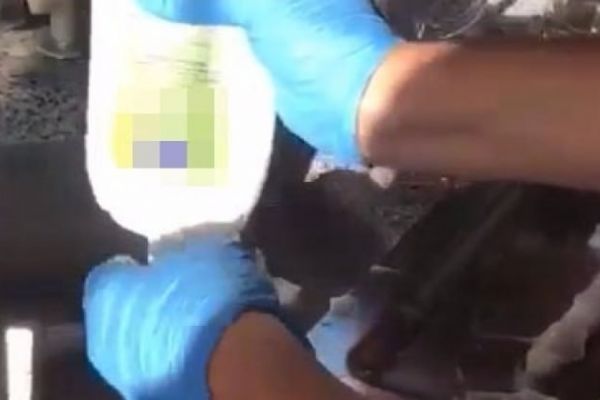 Zonguldak'ta şampuan kutusundan çıktı!