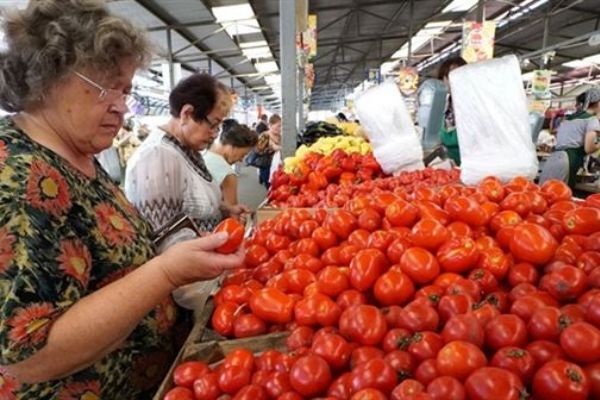 Rusya'dan domatese yeşil ışık