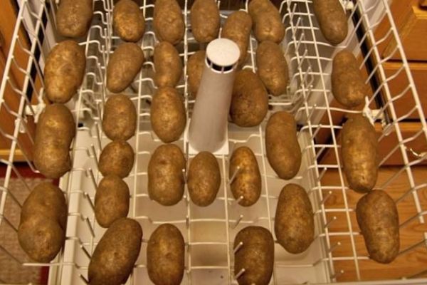 Bulaşık makinesine patates koyarsanız...