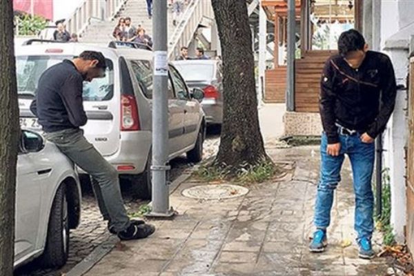 Tarım ilacından bonzai