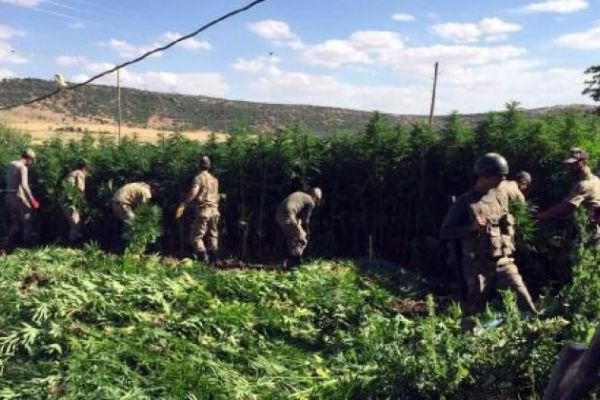 10 bin asker orada! Didik didik her yeri arıyorlar