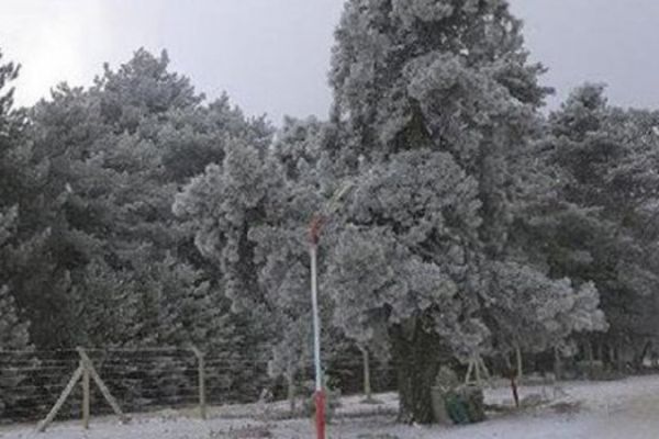 Kars'ta Haziran ayında kar şaşkınlığı: Yüksek kesimlere lapa lapa yağdı