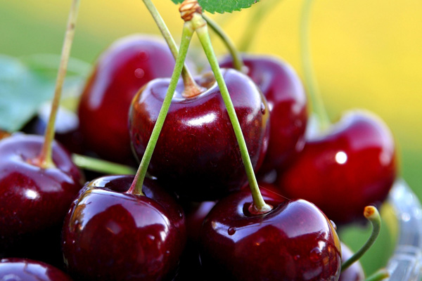 Rusya'ya 5 milyon dolarlık kiraz ihracatı