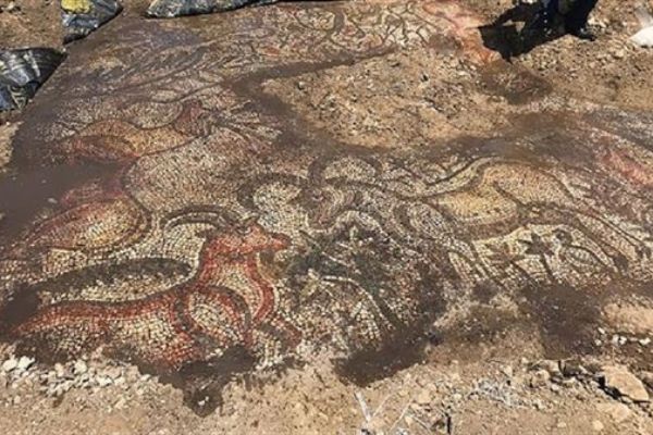 Adıyaman'da 1600 yıllık mozaik bulundu