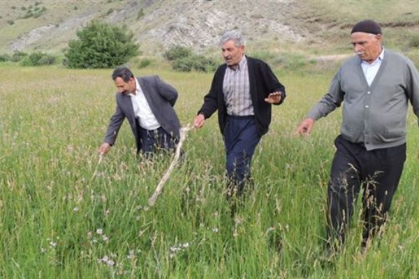 Engerek yılanları köylülerin uykusunu kaçırdı