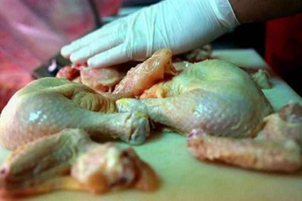 Sıcak havaların riskli bakterisi: Salmonella
