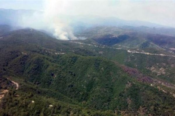 Hatay'daki orman yangınında 25 hektar alan zarar gördü