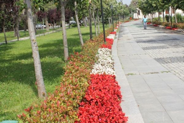 Ümraniye Yazı Çiçeklerle Karşılıyor