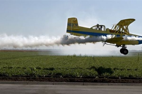 Manavgat'ı ayağa kaldıran 'uçak düştü' ihbarı