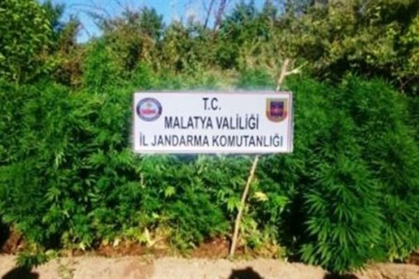 Zehir tacirlerine operasyon: 2 gözaltı