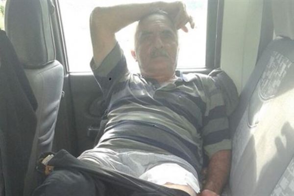 Artvin'de ayının saldırdığı çiftçi yaralandı