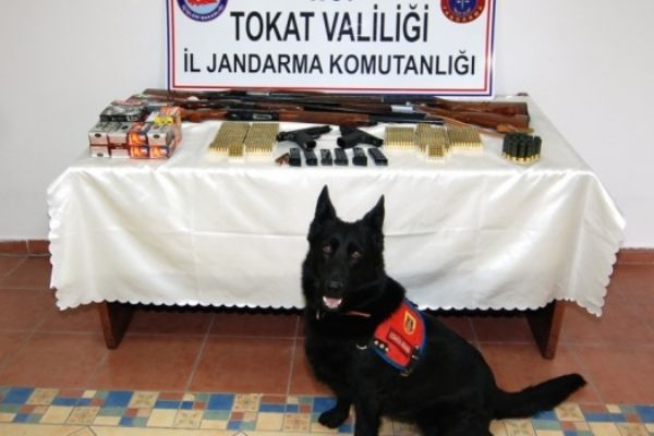 Tokat'ta jandarmadan silah kaçakçılığı operasyonu