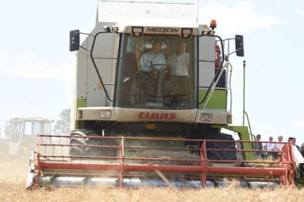 Başkan Uğur başak tarlasında hasat yaptı..