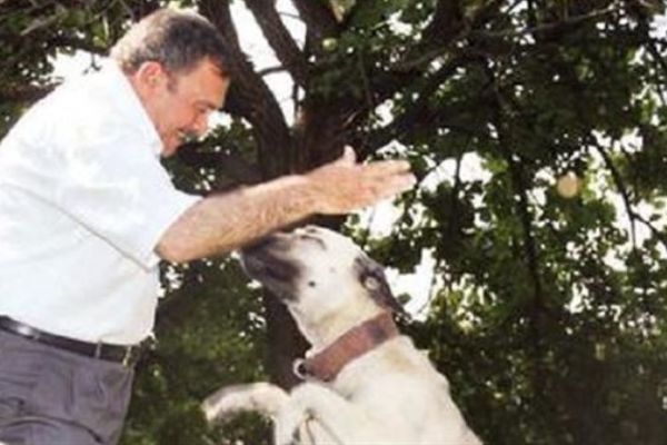 Eroğlu: İşkence edene hapis geliyor