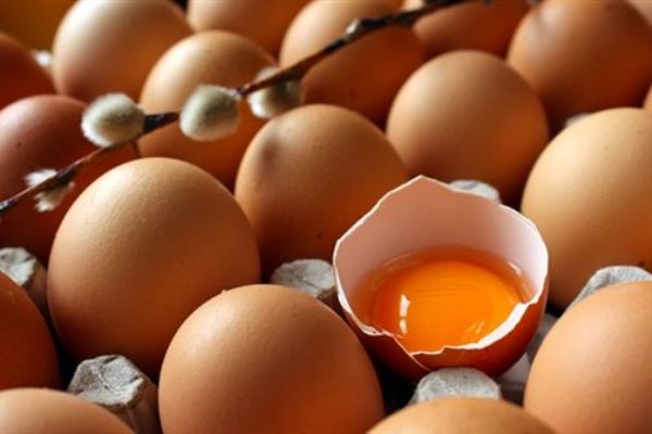 Necati Yıldırım: Yumurta fiyatları yılın en düşük seviyesinde