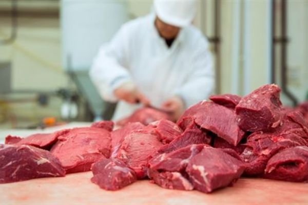 Türkiye Rus kırmızı et üreticilerini denetleyecek