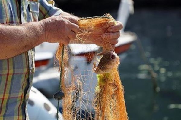 Su ürünleri üretimi azaldı