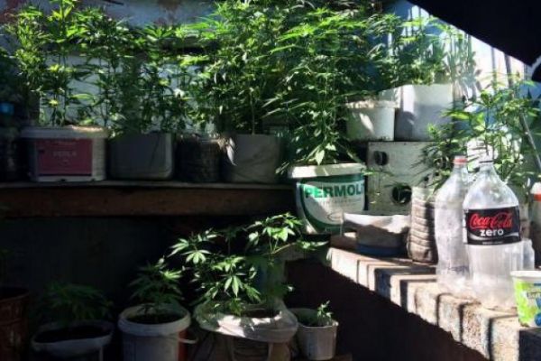 Biga'da uyuşturucu operasyonuna 2 gözaltı