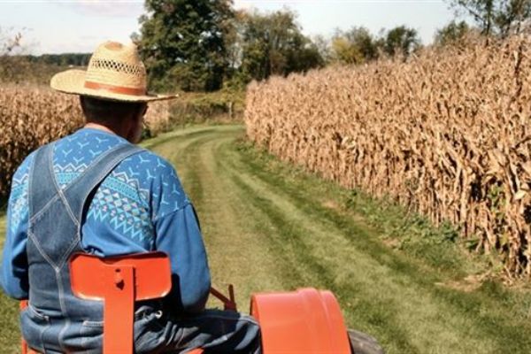 Kentte köye göçüş başladı