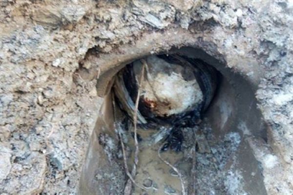 Tunceli'de patlatılmaya hazır EYP imha edildi