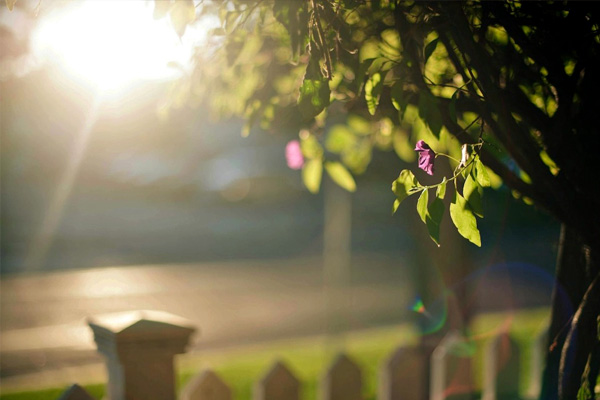 Sıcaklıklar artıyor