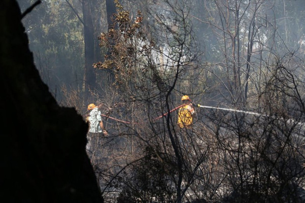 Antalya'da orman yangını