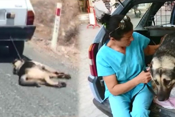 Muğla'da dehşete düşüren görüntü