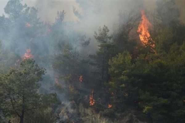 Meteoroloji'den 'orman yangını' uyarısı