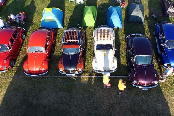 Vosvos tutkunları Karadeniz'i sevindirdi