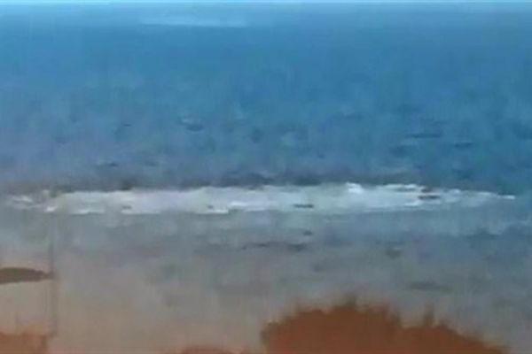 Çanakkale'de denizde korkutan görüntü