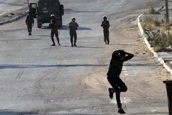Tarlaları ateşe verdiler