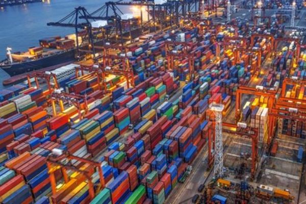 Rusya'ya 2 bin tonu aşkın lahana ihracatı yapıldı