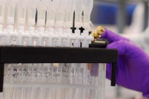 Aç kalmak kanser riskini azaltıyor