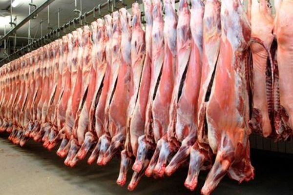 Belçika'da helal kesim tartışması