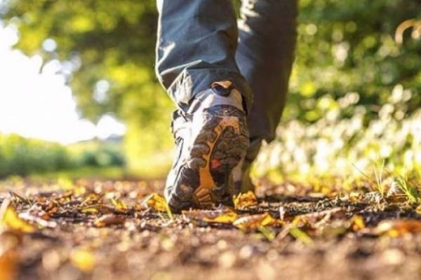 Sıcakta egzersize dikkat!