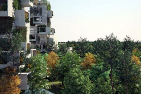 Çin'de dünyanın ilk Orman Kenti!