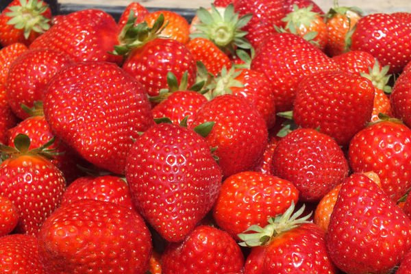 Rusya 20 ton çileği Türkiye’ye geri gönderdi