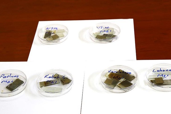 Patlıcan ve turptan güneş pili