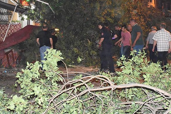 Kafede otururken üzerlerine ağaç düştü